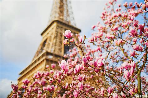 Spring Trip 5 Best Cities To Visit