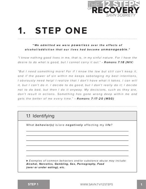 12 Step Worksheets Aa