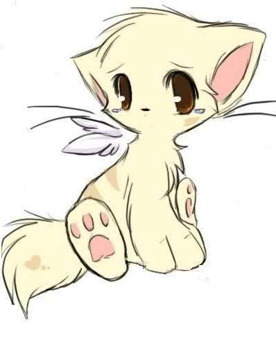 Gallery For Anime Winged Cat Anime Animals Cute Art Manga Drawing
