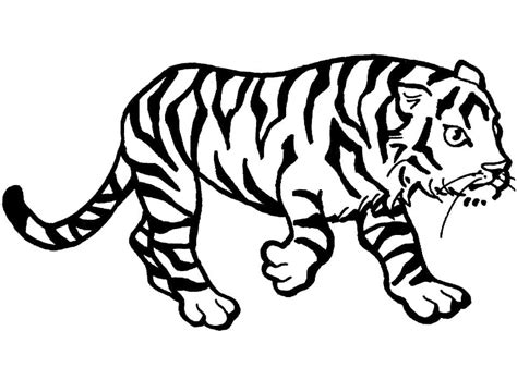 Free Printable Tiger Coloring Page Download Print Or Color Online