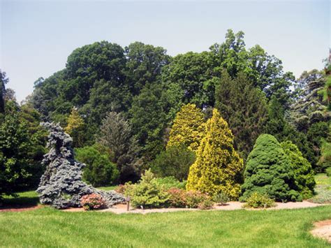 National Arboretum The Cultural Landscape Foundation