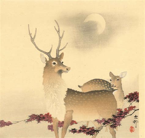 Stunning Stag And Doe Art Print