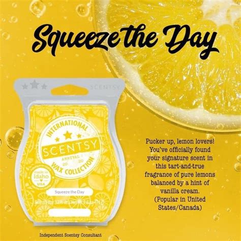 Squeeze The Day Scentsy Bars Scentsy Scentsy Wax Bars