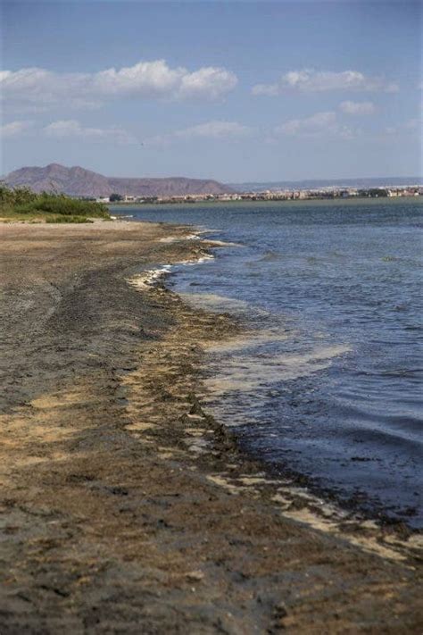 Why The Mar Menor In Spain Has Become Europes Saddest Example Of