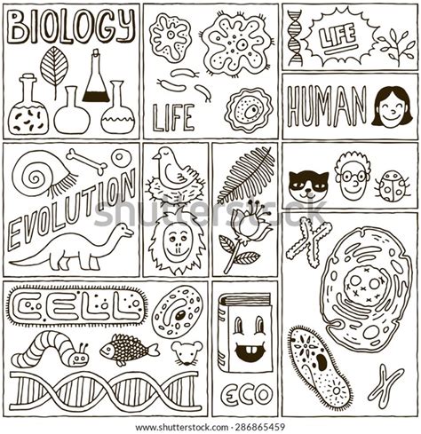 Biology Science Banners Set Hand Drawn 스톡 벡터로열티 프리 286865459