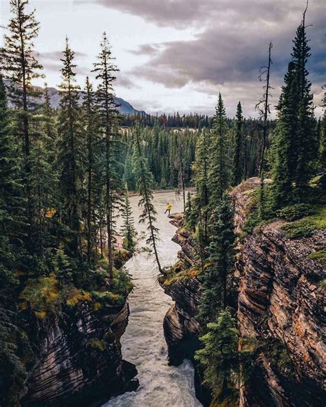 🇨🇦 Athabasca Falls Jasper Alberta By Joe Altwies Hottcupofjoe On