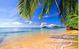 Wallpaper : landscape, sea, bay, shore, beach, coast, palm trees ...