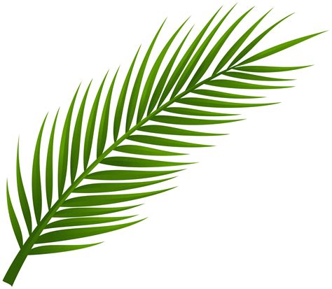 All palm leaf clip art are png format and transparent background. Palm Tree Leaf PNG Clip Art