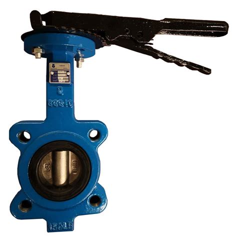 Lug Style Butterfly Valve Ductile Iron Pipe Size Class Luneot