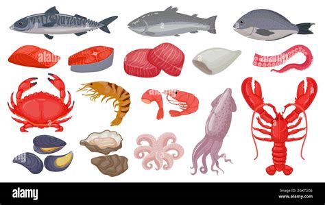 Cartoon Raw Seafood Fish Fresh Salmon Lobster And Squid Ocean
