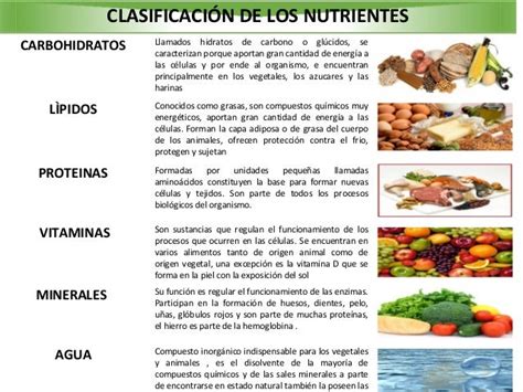 Clasificacion De Los Alimentos De Acuerdo A Sus Nutrientes Energeticos
