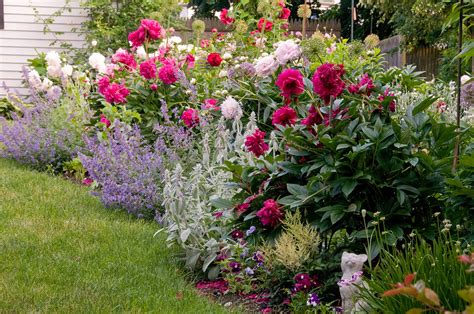 How To Plant Flowers For A Garden Full Of Color