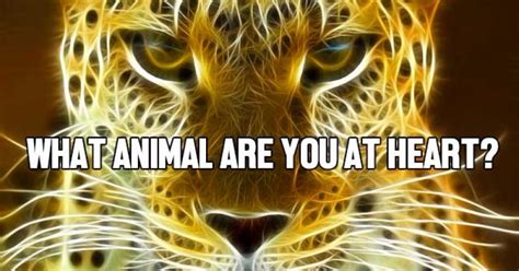 What Animal Are You At Heart Getfunwith