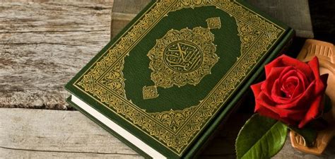 الكريم كاملا برواية ورش عن نافع, القرآن الكريم بصوت العفاسي, القرآن بصوت جميل, القرآن الكريم بصوت سعد الغامدي, قرآن كريم بصوت سورة كهف, قرآن سورة الحمد, قرآن زمان, قرآن زكي العسلي, قرآن زكريا, قرآن زیبا, آتش زدن قرآن, تلاوت زیبای قرآن کریم, زیباترین قرائت. انشا درباره حفظ قرآن - چرا باید قرآن را حفظ کنیم؟
