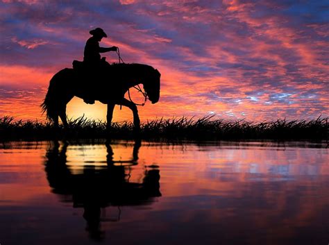 Hd Wallpaper Silhouette Of Man Riding Horse On Field Sunset
