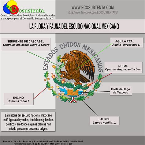 La Flora Y Fauna Del Escudo Nacional Mexicano Ecosustenta