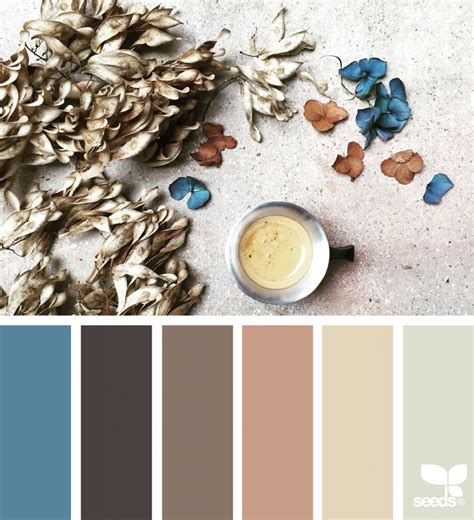 Color Arrange Seeds Color Palette Design Seeds Color Palette Design Seeds