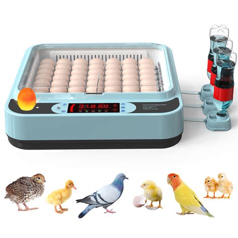 Buy Ouyolad 64 Egg Incubator With Humidity Display Incubators For