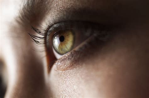 Dead Human Eyes Respond To Light Five Hours After Donor Passed