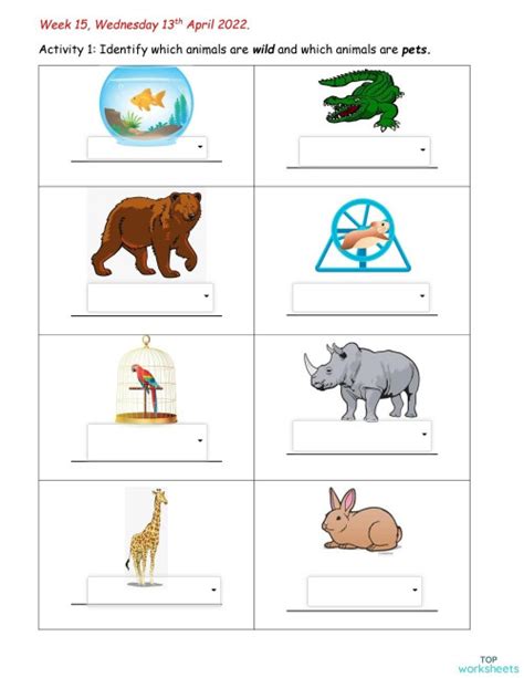 Pets And Wild Animals Interactive Worksheet Topworksheets