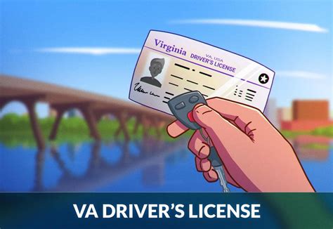 How To Get Your Virginia Drivers License Zutobi Drivers Ed