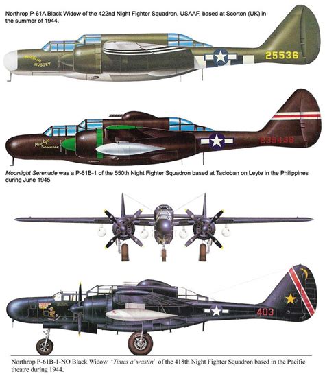 Northrop P 61 Black Widow Aircraft Of World War Ii