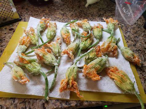 Homemade Stuffed Squash Blossoms Food