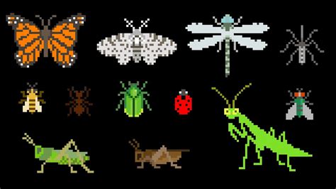 But anyway look at some of these. Insects - Animals Series - Bugs - The Kids' Picture Show ...