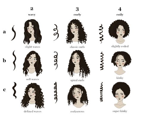 Overview Of 3c Vs 4a Hair Differences And Similaritieshair Knowledge