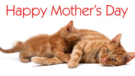 Happy Mothers Day Animated Gif Wishes - Best Animations
