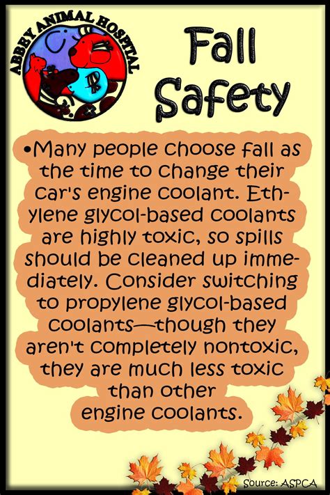 Fall Safety Tips Safety Tips Tips Safety