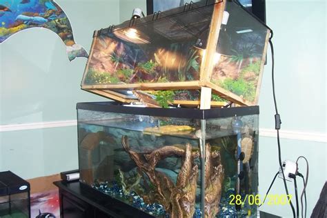 Tank Setup Above Basking Indoor Setupsaquariums And Tubs Turtle