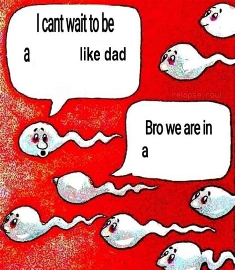 Two Sperm Cells Talking Meme Template And Creator