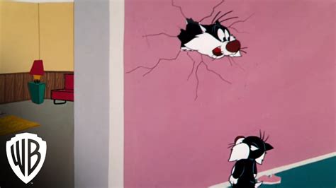 Looney Tunes Super Stars Sylvester And Hippety Hopper Through The Wall