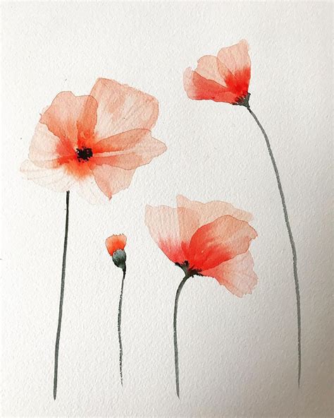 How To Draw Watercolor Flower Best Flower Site