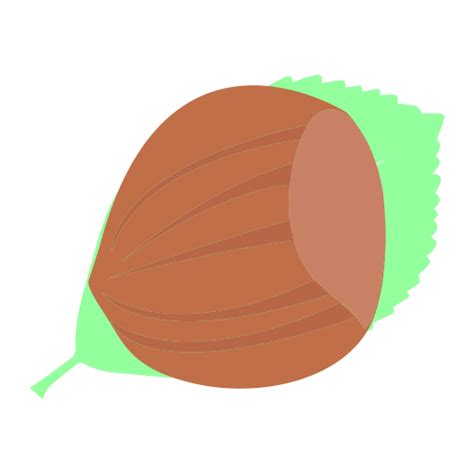 Hazelnut Vector Icons Free Download In Svg Png Format