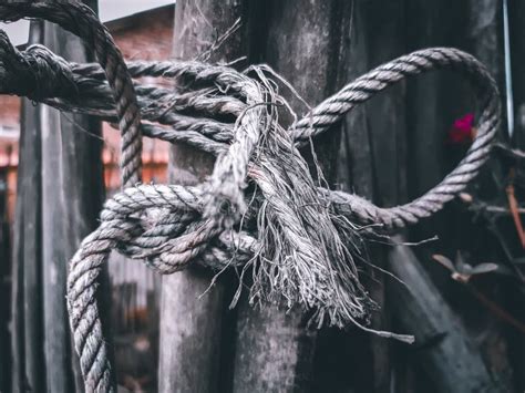 Rope Tied To A Bamboo Fence Stock Photo Image Of Decorative Nobody