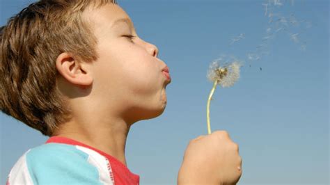 Wish is operated by contextlogic inc. 11 Things You Might Not Know About Make-A-Wish | Mental Floss