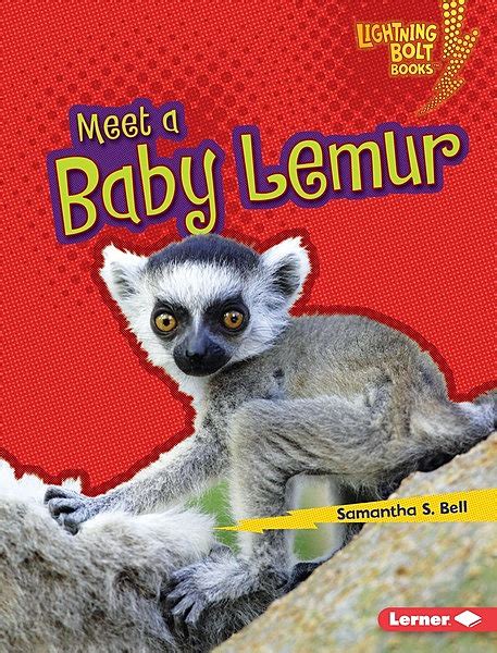 Meet A Baby Lemur Lerner Publishing Group