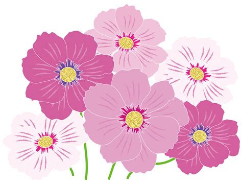 Pink And White Flowers Public Domain Vectors