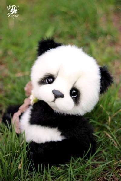 Pin By Itsna Zaenurrohmah On Panda Cute Wild Animals Cute Baby