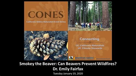 Smokey The Beaver Can Beavers Prevent Wildfires With Dr Emily