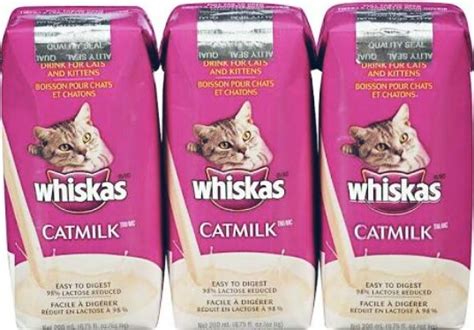 Susu sapi minum mengandung cukup banyak laktosa, senyawa yang sulit diterima pencernaan kucing. 13 Susu yang Sesuai untuk Anak Kucing Baru Lahir Beserta ...