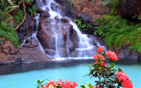 Beautiful Nature Images Waterfall With Flowers Beautiful Nature And