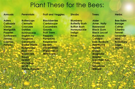 Bee Friendly Plants | Bee friendly plants, Growing gardens, Bee friendly