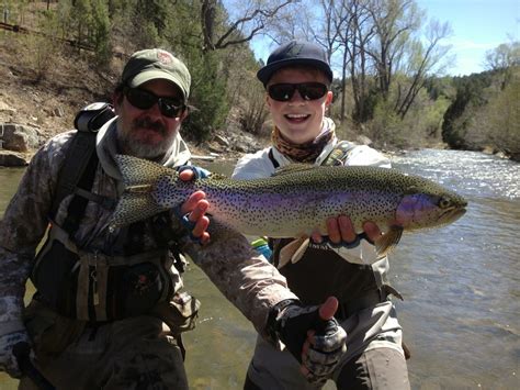 Guided Fly Fishing Trip From Santa Fe Full Day New