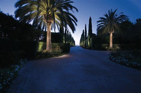 Uplighting And Downlighting Palm Trees Home