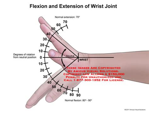 Amicus Illustration Of Amicus Anatomy Range Motion Wrist Joint Flexion