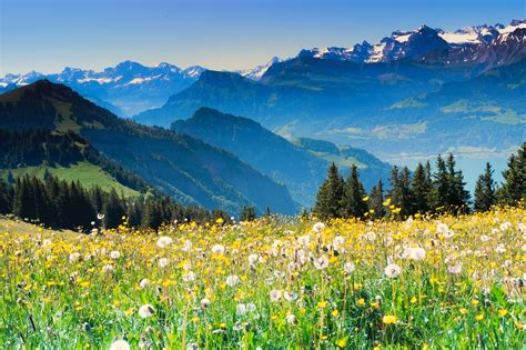 Schweiz Alpen Schweizer Kostenloses Foto Auf Pixabay Pixabay