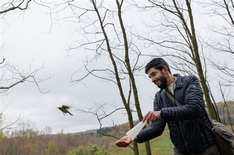 Not Winging It Birders Hope Hard Data Will Help Save The Species They